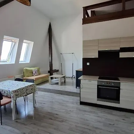 !masarykova Apartmens 9