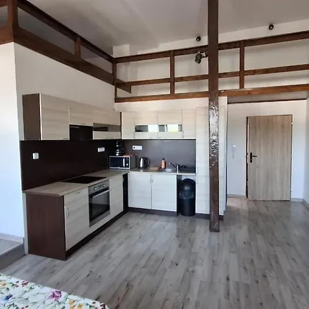 !masarykova Apartmens 9 *